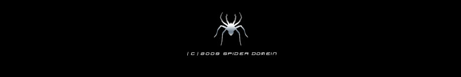 SpiderDomein